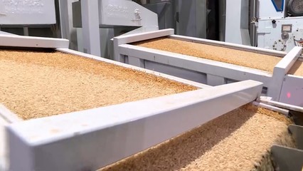 定调!华容县下步粮食产业发展目标来了