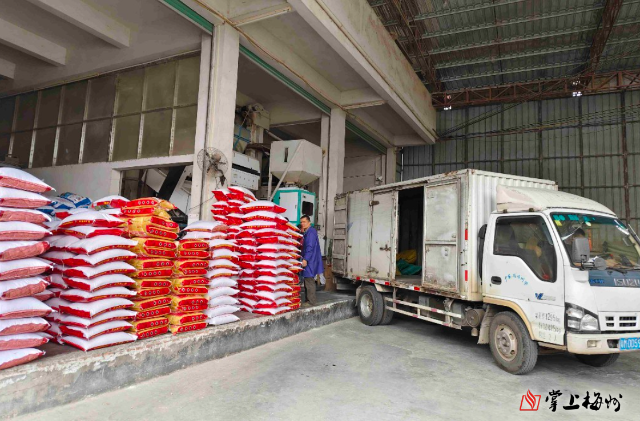 粮食加工行业迎来智能化转型新浪潮 政策加持与技术创新双轮驱动