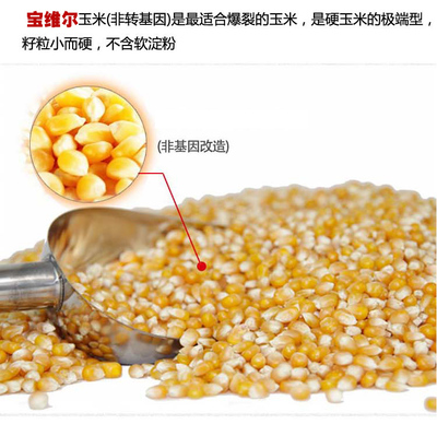 爆米花玉米原料市场与加工设备全解析